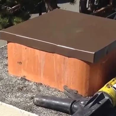 Wildlife exclusion and prevention services to seal entry points in Orlando homes